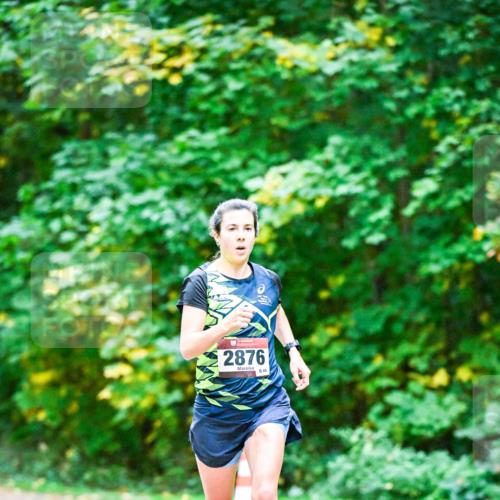 12.10.2025 - Bramfelder Halbmarathon 2025 Dr. Thomas Lammeyer http://msf.ph/oto/9344203 12.10.2025 10:06:32 Laufen 2876, 44 meine-sportfotos.de
