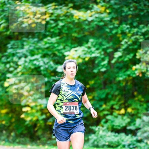 12.10.2025 - Bramfelder Halbmarathon 2025 Dr. Thomas Lammeyer http://msf.ph/oto/9344204 12.10.2025 10:06:32 Laufen 2876, 44 meine-sportfotos.de