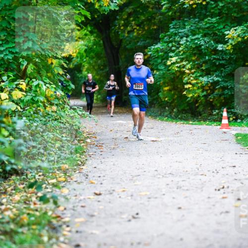 12.10.2025 - Bramfelder Halbmarathon 2025 Dr. Thomas Lammeyer http://msf.ph/oto/9344502 12.10.2025 10:10:51 Laufen 2803 meine-sportfotos.de