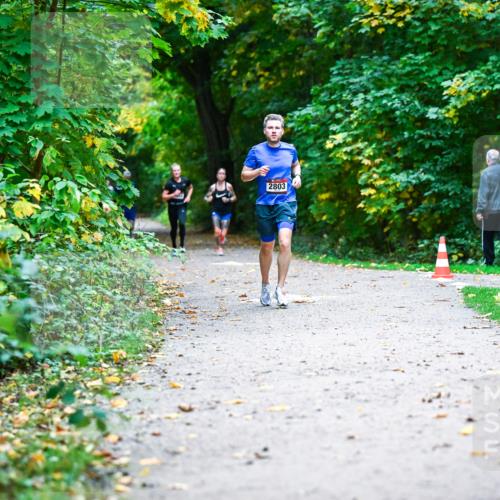 12.10.2025 - Bramfelder Halbmarathon 2025 Dr. Thomas Lammeyer http://msf.ph/oto/9344505 12.10.2025 10:10:51 Laufen 2803 meine-sportfotos.de