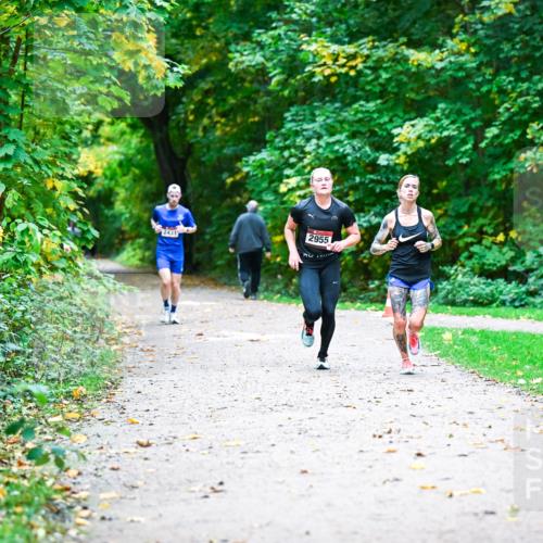 12.10.2025 - Bramfelder Halbmarathon 2025 Dr. Thomas Lammeyer http://msf.ph/oto/9344539 12.10.2025 10:10:58 Laufen 2955, 2431 meine-sportfotos.de