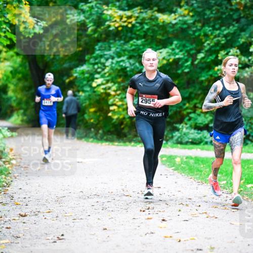 12.10.2025 - Bramfelder Halbmarathon 2025 Dr. Thomas Lammeyer http://msf.ph/oto/9344546 12.10.2025 10:10:59 Laufen 345, 2955 meine-sportfotos.de