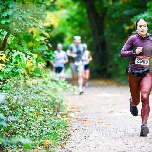 12.10.2025 - Bramfelder Halbmarathon 2025 Dr. Thomas Lammeyer http://msf.ph/oto/9344949 12.10.2025 10:13:24 Laufen 2909 meine-sportfotos.de