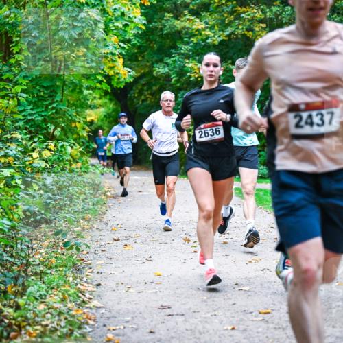 12.10.2025 - Bramfelder Halbmarathon 2025 Dr. Thomas Lammeyer http://msf.ph/oto/9345323 12.10.2025 10:15:11 Laufen 2939, 2636, 2437, 28, 2676 meine-sportfotos.de