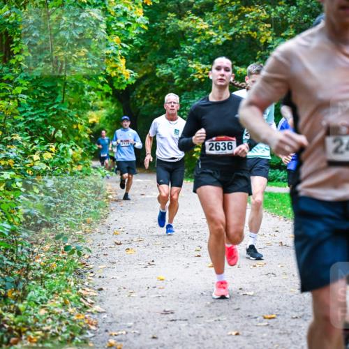 12.10.2025 - Bramfelder Halbmarathon 2025 Dr. Thomas Lammeyer http://msf.ph/oto/9345324 12.10.2025 10:15:11 Laufen 2939, 2636, 2437, 267 meine-sportfotos.de