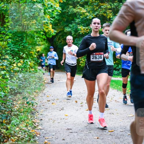 12.10.2025 - Bramfelder Halbmarathon 2025 Dr. Thomas Lammeyer http://msf.ph/oto/9345325 12.10.2025 10:15:11 Laufen 2636, 26, 2437 meine-sportfotos.de