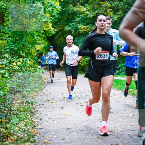 12.10.2025 - Bramfelder Halbmarathon 2025 Dr. Thomas Lammeyer http://msf.ph/oto/9345326 12.10.2025 10:15:11 Laufen 2636, 699, 2 meine-sportfotos.de