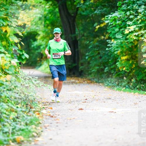 12.10.2025 - Bramfelder Halbmarathon 2025 Dr. Thomas Lammeyer http://msf.ph/oto/9345557 12.10.2025 10:16:31 Laufen 2979 meine-sportfotos.de