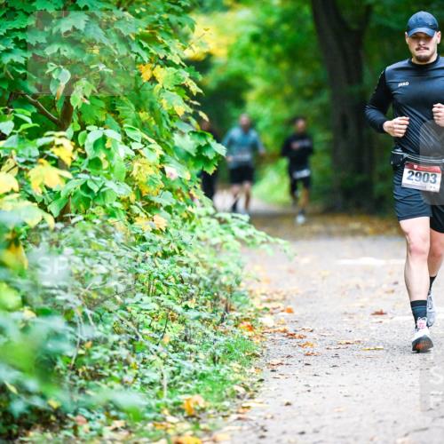 12.10.2025 - Bramfelder Halbmarathon 2025 Dr. Thomas Lammeyer http://msf.ph/oto/9345678 12.10.2025 10:17:04 Laufen 2903 meine-sportfotos.de