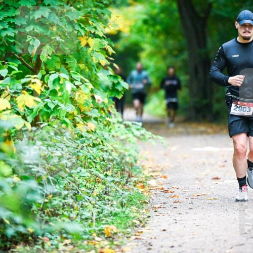 12.10.2025 - Bramfelder Halbmarathon 2025 Dr. Thomas Lammeyer http://msf.ph/oto/9345679 12.10.2025 10:17:04 Laufen 2903 meine-sportfotos.de