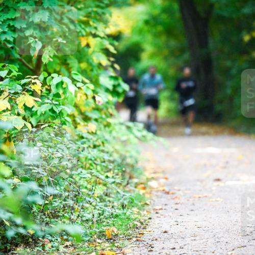 12.10.2025 - Bramfelder Halbmarathon 2025 Dr. Thomas Lammeyer http://msf.ph/oto/9345689 12.10.2025 10:17:06 Laufen 29 meine-sportfotos.de