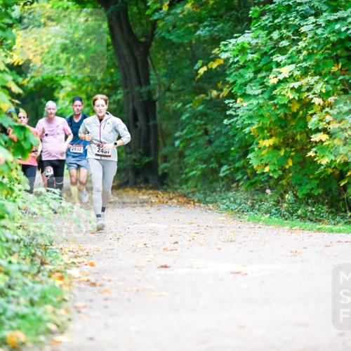 12.10.2025 - Bramfelder Halbmarathon 2025 Dr. Thomas Lammeyer http://msf.ph/oto/9345800 12.10.2025 10:17:33 Laufen 62, 2832, 243 meine-sportfotos.de
