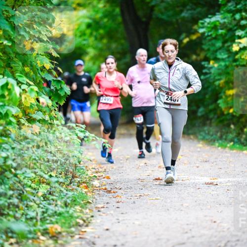 12.10.2025 - Bramfelder Halbmarathon 2025 Dr. Thomas Lammeyer http://msf.ph/oto/9345805 12.10.2025 10:17:37 Laufen 2495, 167, 2467 meine-sportfotos.de