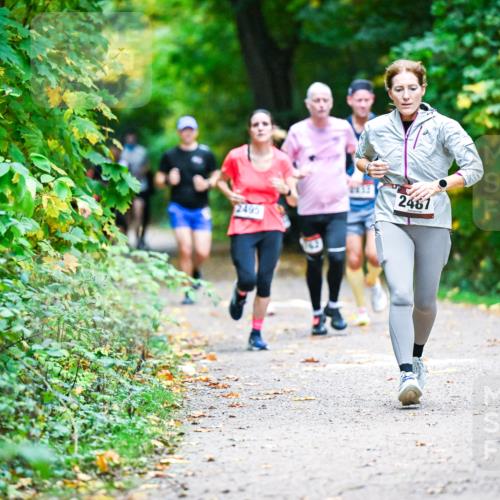 12.10.2025 - Bramfelder Halbmarathon 2025 Dr. Thomas Lammeyer http://msf.ph/oto/9345815 12.10.2025 10:17:38 Laufen 2495, 2432, 2481 meine-sportfotos.de