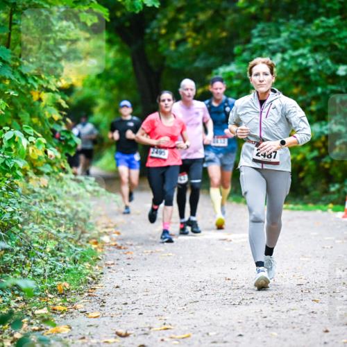 12.10.2025 - Bramfelder Halbmarathon 2025 Dr. Thomas Lammeyer http://msf.ph/oto/9345820 12.10.2025 10:17:40 Laufen 2467, 2495 meine-sportfotos.de
