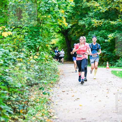 12.10.2025 - Bramfelder Halbmarathon 2025 Dr. Thomas Lammeyer http://msf.ph/oto/9345837 12.10.2025 10:17:42 Laufen 2495, 2832, 2487 meine-sportfotos.de
