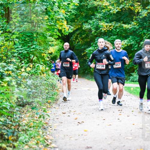 12.10.2025 - Bramfelder Halbmarathon 2025 Dr. Thomas Lammeyer http://msf.ph/oto/9345918 12.10.2025 10:17:55 Laufen 2692, 2736, 04, 2957, 2793 meine-sportfotos.de