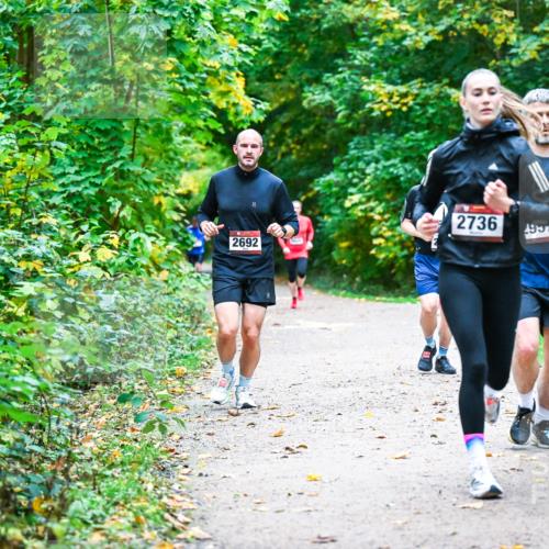 12.10.2025 - Bramfelder Halbmarathon 2025 Dr. Thomas Lammeyer http://msf.ph/oto/9345927 12.10.2025 10:17:57 Laufen 2736, 2692 meine-sportfotos.de