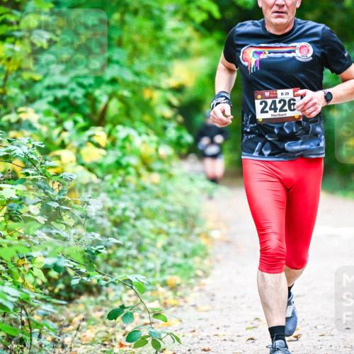 12.10.2025 - Bramfelder Halbmarathon 2025 Dr. Thomas Lammeyer http://msf.ph/oto/9346080 12.10.2025 10:18:39 Laufen 29, 2426, 1910 meine-sportfotos.de