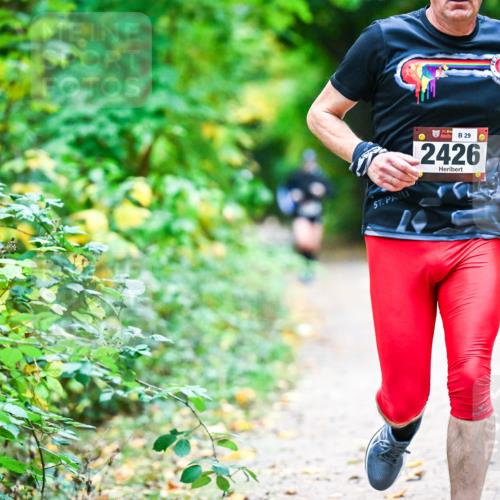 12.10.2025 - Bramfelder Halbmarathon 2025 Dr. Thomas Lammeyer http://msf.ph/oto/9346083 12.10.2025 10:18:39 Laufen 29, 2426, 910 meine-sportfotos.de