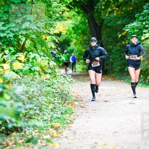 12.10.2025 - Bramfelder Halbmarathon 2025 Dr. Thomas Lammeyer http://msf.ph/oto/9346086 12.10.2025 10:18:43 Laufen 2897, 2436 meine-sportfotos.de