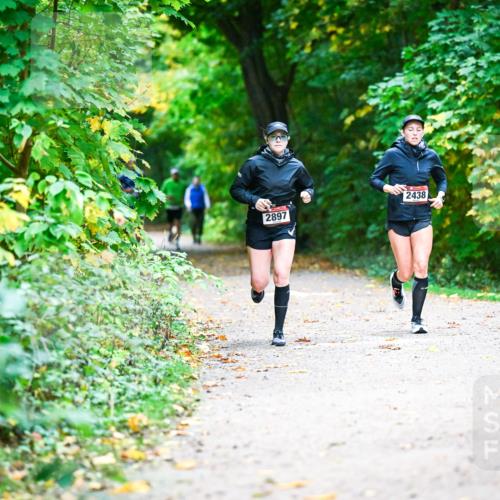 12.10.2025 - Bramfelder Halbmarathon 2025 Dr. Thomas Lammeyer http://msf.ph/oto/9346088 12.10.2025 10:18:43 Laufen 2897, 2438 meine-sportfotos.de