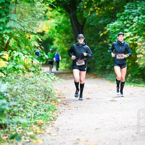 12.10.2025 - Bramfelder Halbmarathon 2025 Dr. Thomas Lammeyer http://msf.ph/oto/9346089 12.10.2025 10:18:43 Laufen 2897, 2438 meine-sportfotos.de