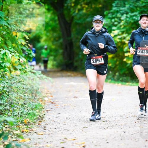 12.10.2025 - Bramfelder Halbmarathon 2025 Dr. Thomas Lammeyer http://msf.ph/oto/9346107 12.10.2025 10:18:46 Laufen 2897, 2438 meine-sportfotos.de