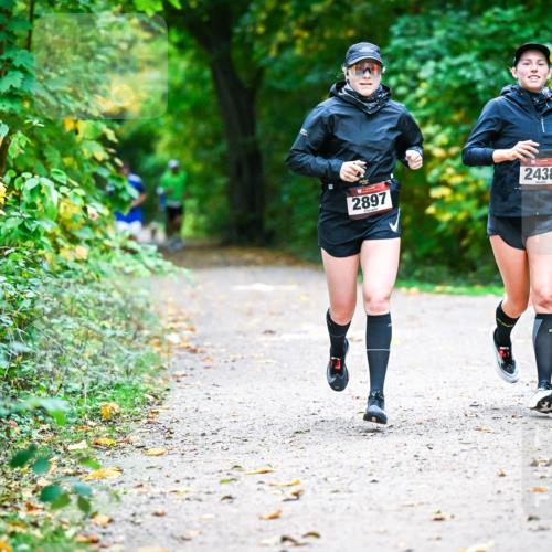 12.10.2025 - Bramfelder Halbmarathon 2025 Dr. Thomas Lammeyer http://msf.ph/oto/9346110 12.10.2025 10:18:47 Laufen 2897, 2438 meine-sportfotos.de