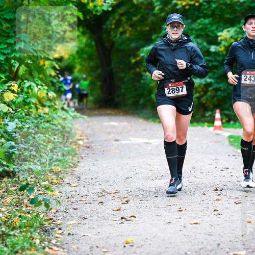 12.10.2025 - Bramfelder Halbmarathon 2025 Dr. Thomas Lammeyer http://msf.ph/oto/9346117 12.10.2025 10:18:48 Laufen 2897, 2438 meine-sportfotos.de