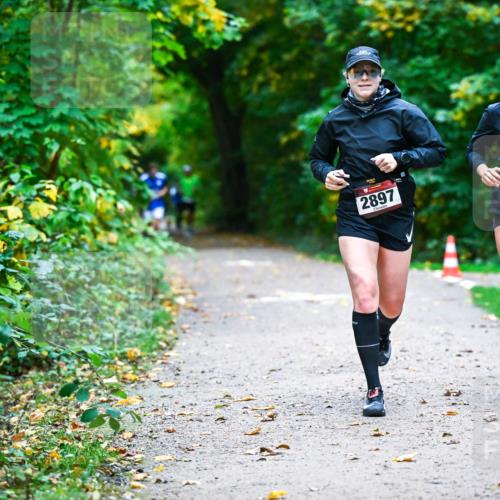 12.10.2025 - Bramfelder Halbmarathon 2025 Dr. Thomas Lammeyer http://msf.ph/oto/9346118 12.10.2025 10:18:48 Laufen 24630, 2897, 2438 meine-sportfotos.de