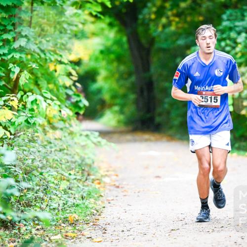 12.10.2025 - Bramfelder Halbmarathon 2025 Dr. Thomas Lammeyer http://msf.ph/oto/9346140 12.10.2025 10:18:58 Laufen 2515 meine-sportfotos.de