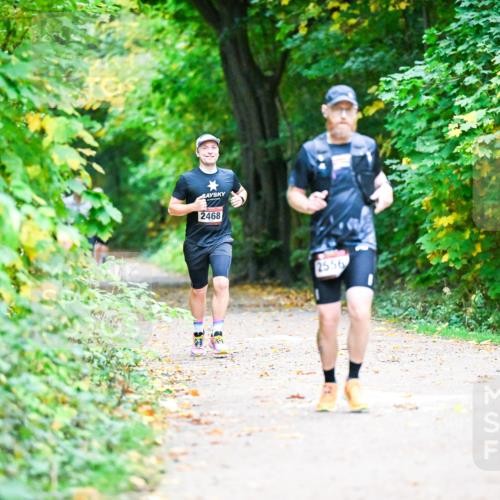 12.10.2025 - Bramfelder Halbmarathon 2025 Dr. Thomas Lammeyer http://msf.ph/oto/9346212 12.10.2025 10:19:16 Laufen 2468, 2556 meine-sportfotos.de