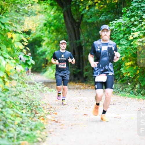 12.10.2025 - Bramfelder Halbmarathon 2025 Dr. Thomas Lammeyer http://msf.ph/oto/9346214 12.10.2025 10:19:17 Laufen 2468 meine-sportfotos.de