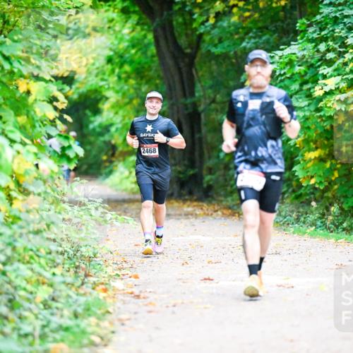 12.10.2025 - Bramfelder Halbmarathon 2025 Dr. Thomas Lammeyer http://msf.ph/oto/9346215 12.10.2025 10:19:17 Laufen  meine-sportfotos.de