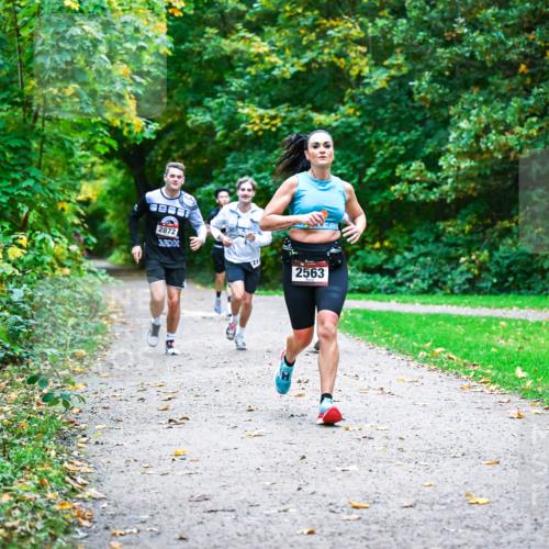 12.10.2025 - Bramfelder Halbmarathon 2025 Dr. Thomas Lammeyer http://msf.ph/oto/9346506 12.10.2025 10:20:29 Laufen 2872, 2850, 2563 meine-sportfotos.de