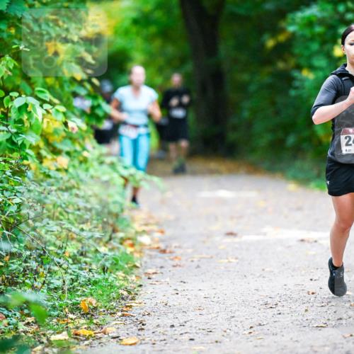 12.10.2025 - Bramfelder Halbmarathon 2025 Dr. Thomas Lammeyer http://msf.ph/oto/9346577 12.10.2025 10:20:45 Laufen 2425, 27 meine-sportfotos.de