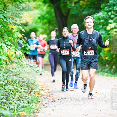 12.10.2025 - Bramfelder Halbmarathon 2025 Dr. Thomas Lammeyer http://msf.ph/oto/9346696 12.10.2025 10:21:16 Laufen 2963, 2709, 2739 meine-sportfotos.de