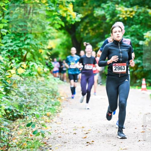 12.10.2025 - Bramfelder Halbmarathon 2025 Dr. Thomas Lammeyer http://msf.ph/oto/9346724 12.10.2025 10:21:21 Laufen 2791, 2963 meine-sportfotos.de