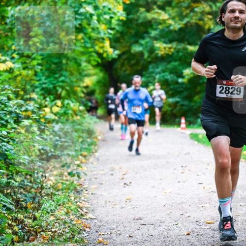 12.10.2025 - Bramfelder Halbmarathon 2025 Dr. Thomas Lammeyer http://msf.ph/oto/9346760 12.10.2025 10:21:29 Laufen 2829 meine-sportfotos.de