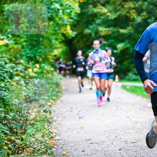 12.10.2025 - Bramfelder Halbmarathon 2025 Dr. Thomas Lammeyer http://msf.ph/oto/9346781 12.10.2025 10:21:32 Laufen 2812, 9 meine-sportfotos.de