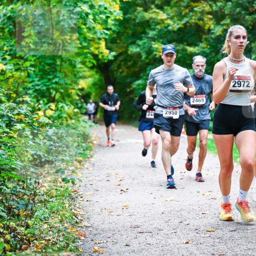 12.10.2025 - Bramfelder Halbmarathon 2025 Dr. Thomas Lammeyer http://msf.ph/oto/9346854 12.10.2025 10:21:46 Laufen 2469, 244, 2950, 2972, 2777 meine-sportfotos.de