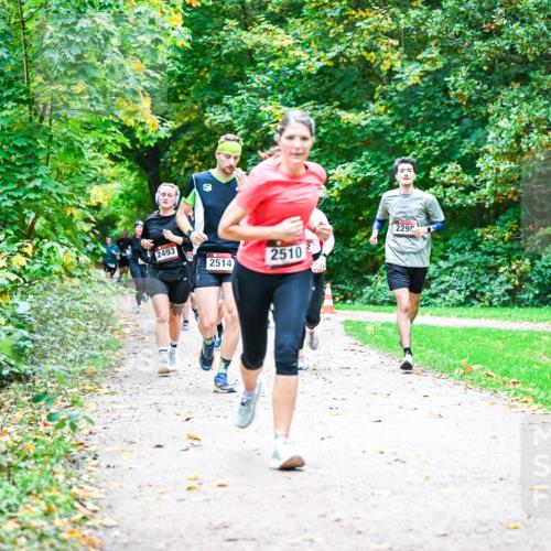 12.10.2025 - Bramfelder Halbmarathon 2025 Dr. Thomas Lammeyer http://msf.ph/oto/9347964 12.10.2025 10:25:36 Laufen 2493, 2514, 2510, 2292 meine-sportfotos.de