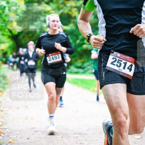 12.10.2025 - Bramfelder Halbmarathon 2025 Dr. Thomas Lammeyer http://msf.ph/oto/9347983 12.10.2025 10:25:39 Laufen 2493, 2514 meine-sportfotos.de