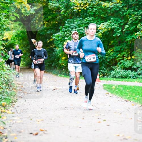 12.10.2025 - Bramfelder Halbmarathon 2025 Dr. Thomas Lammeyer http://msf.ph/oto/9348616 12.10.2025 10:27:58 Laufen 2463, 2462, 278, 2325, 2378 meine-sportfotos.de