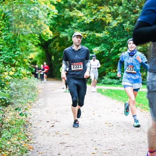12.10.2025 - Bramfelder Halbmarathon 2025 Dr. Thomas Lammeyer http://msf.ph/oto/9348856 12.10.2025 10:28:46 Laufen 8, 2323, 232, 2261 meine-sportfotos.de
