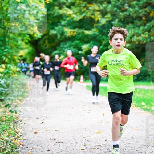 12.10.2025 - Bramfelder Halbmarathon 2025 Dr. Thomas Lammeyer http://msf.ph/oto/9348883 12.10.2025 10:28:54 Laufen  meine-sportfotos.de