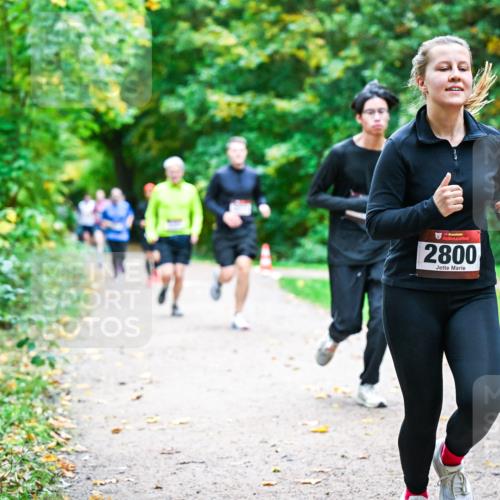 12.10.2025 - Bramfelder Halbmarathon 2025 Dr. Thomas Lammeyer http://msf.ph/oto/9348915 12.10.2025 10:28:59 Laufen 2800 meine-sportfotos.de