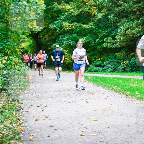 12.10.2025 - Bramfelder Halbmarathon 2025 Dr. Thomas Lammeyer http://msf.ph/oto/9348999 12.10.2025 10:29:18 Laufen 2269, 2194, 2968, 14, 2301 meine-sportfotos.de