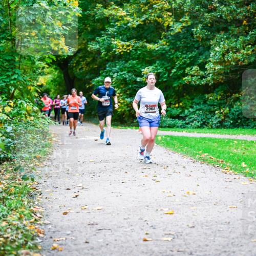 12.10.2025 - Bramfelder Halbmarathon 2025 Dr. Thomas Lammeyer http://msf.ph/oto/9349001 12.10.2025 10:29:18 Laufen 2194, 2968, 2301 meine-sportfotos.de